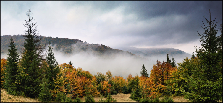 Autumn in the clouds