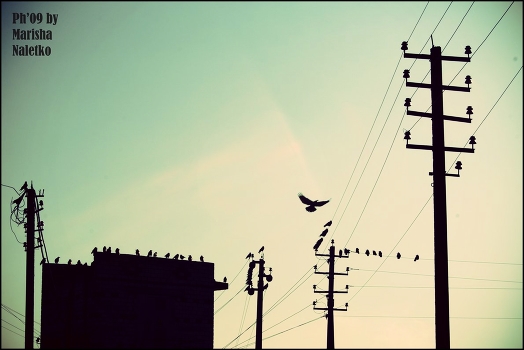 ]OUR SKY CITY[