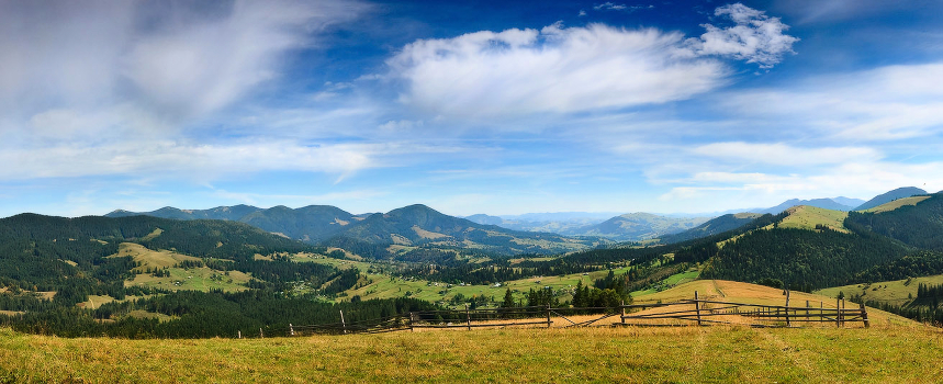 Carpathian with a fence