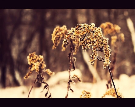 My Winter