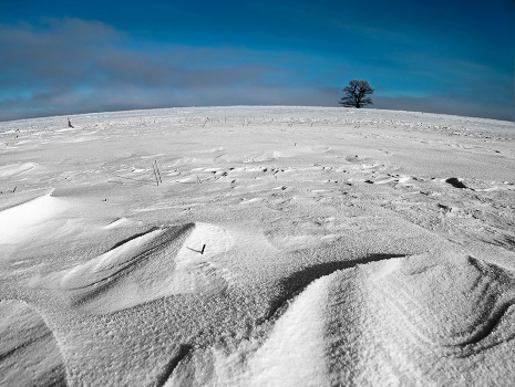 With snow