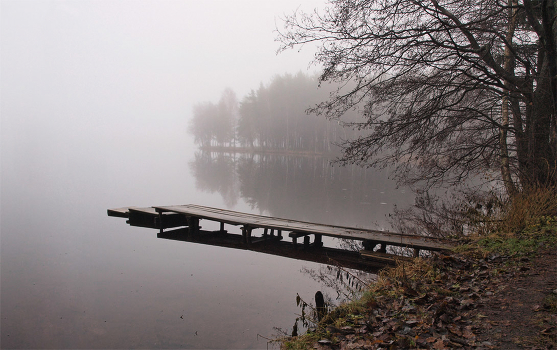 autumn morning