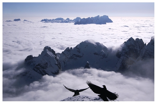 Dancing in the clouds