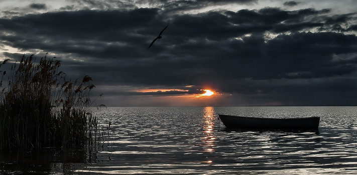 Silence