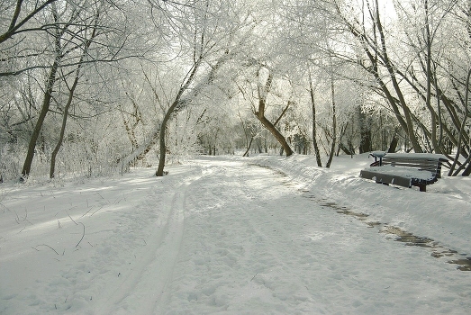 Winter Park