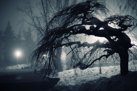 Mysterious Life