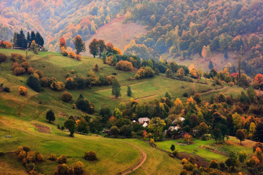Carpathian for examining