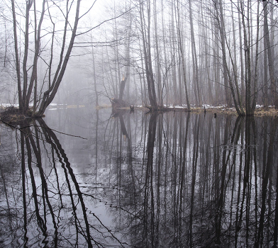 High Water