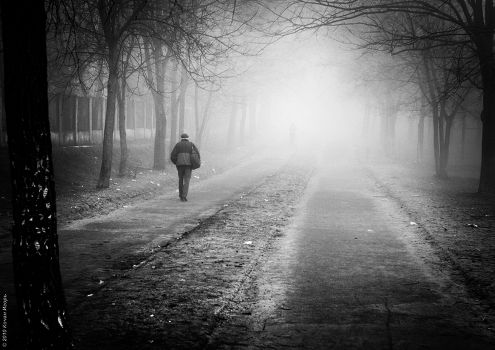 Disappearing ...