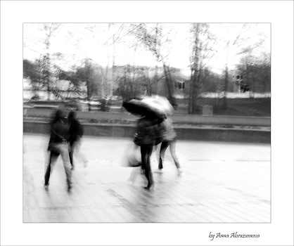 Rainy Shadow