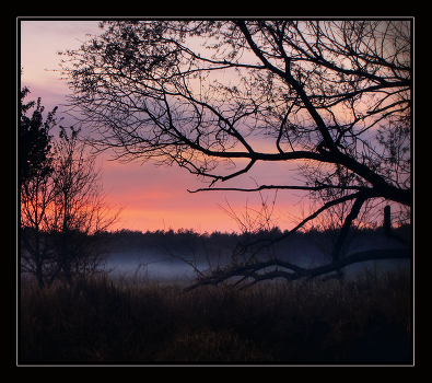 You hear whispers in a dream land ...?
