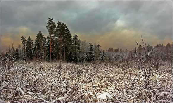Der Winter ist wie ein Traum.
