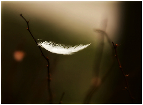 Let me go, you hear? Without the sky I just die ..