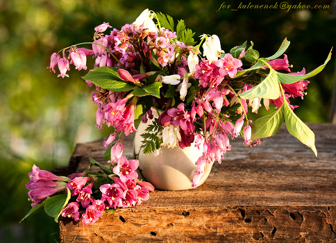 Bouquet of spring.