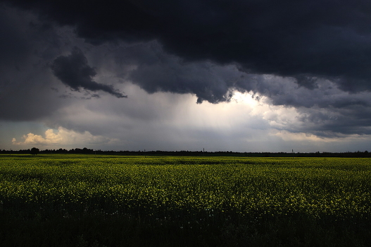 Сlouds