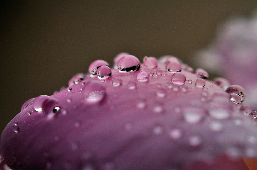 Rain...