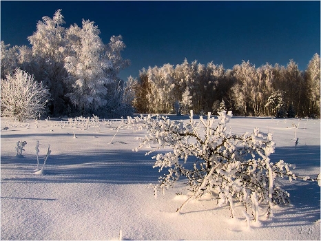 In a white coat in January