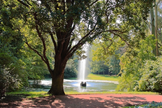 Old Park