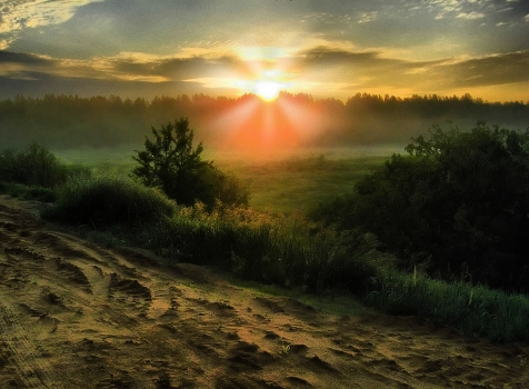 Morning a new day