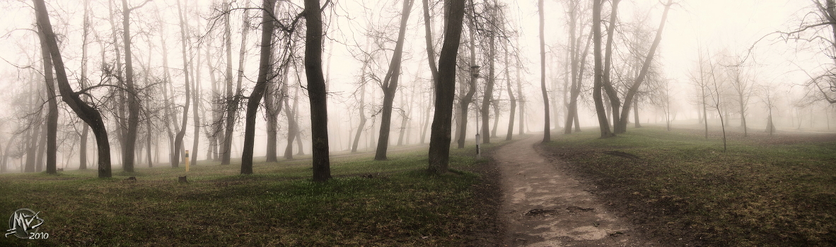 Through the fog ...
