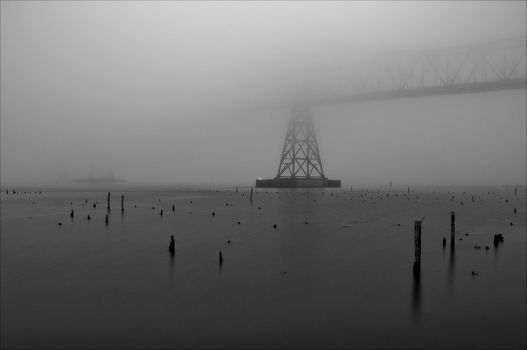 the fog