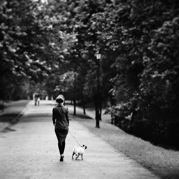 Lady with the Dog