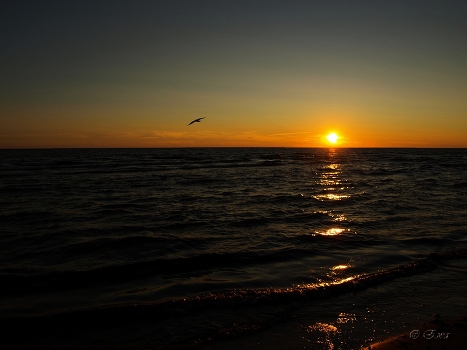Looking to the sun.