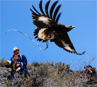 Parenting flight