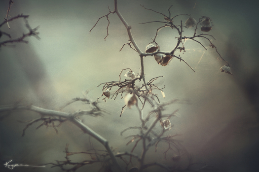 sense of silence ...