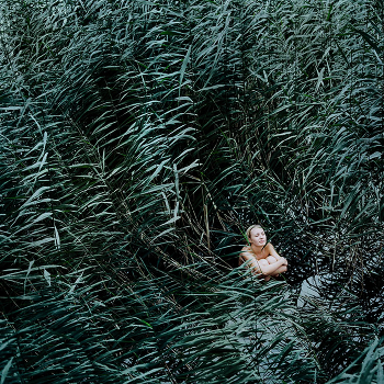 quiet place