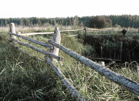 забор