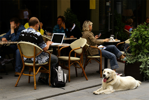 People, dogs and high-tech