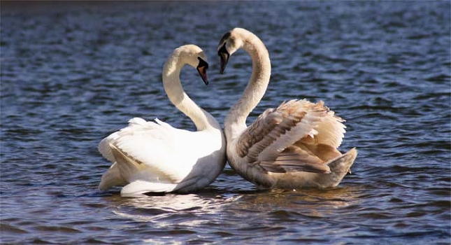 Love ...