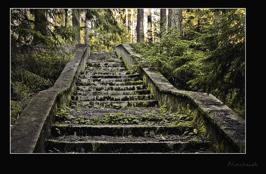 Abandoned stairs