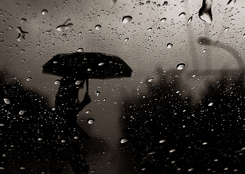 Wet Rhapsody