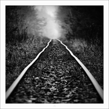 Narrow Gauge