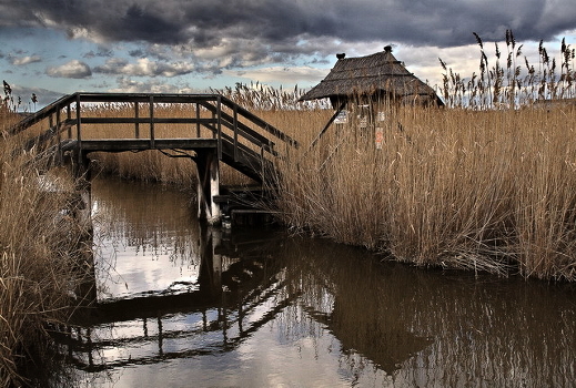 Flooded