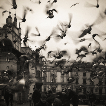 fly away ... # 2