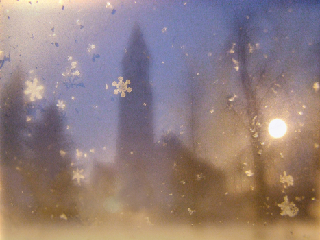 snow on the glass.