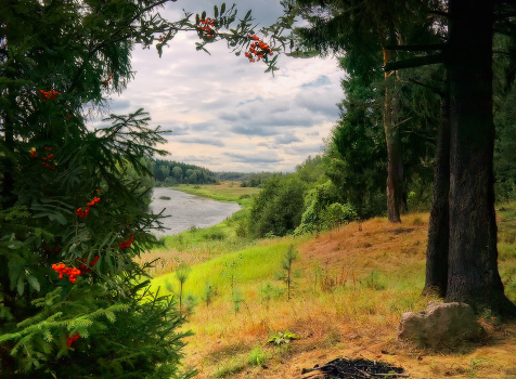 Window in August