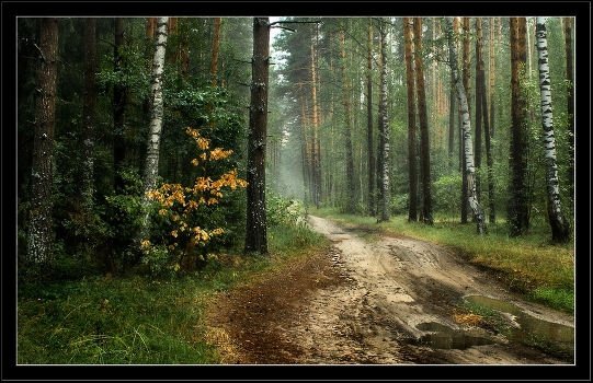 Soon autumn.