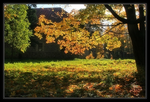 Herbst Licht