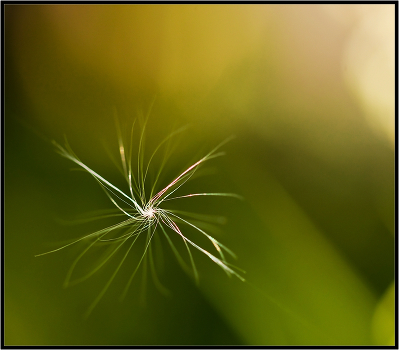 Spun ...