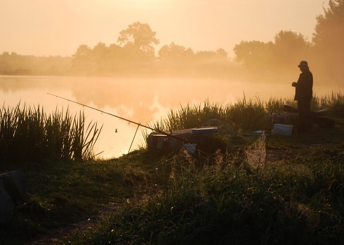 Morning Fisherman