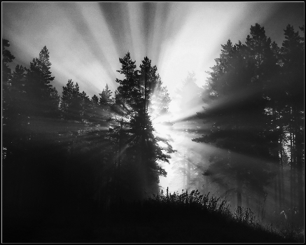 At dawn