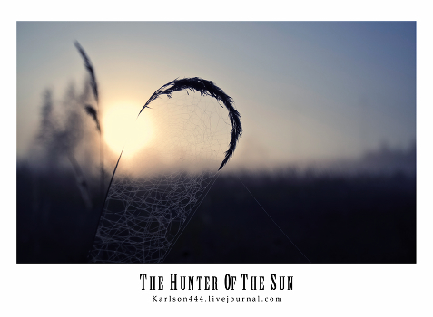 Catcher Sun.