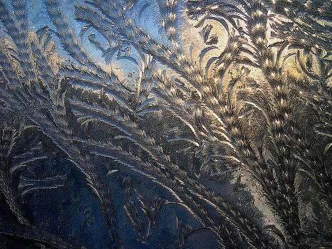 Frosty patterns - "On the sea floor ..."