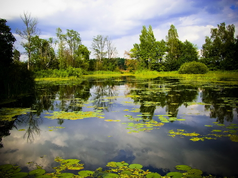 lake of tears