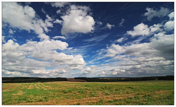 Autumn field