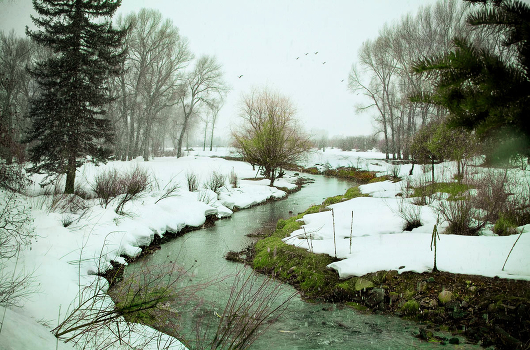 Snowy River